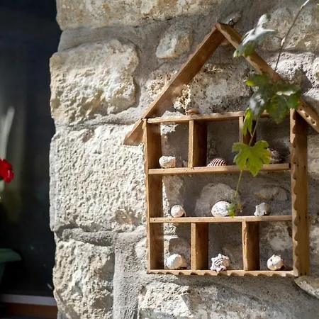 Lazar Сasa de vacaciones